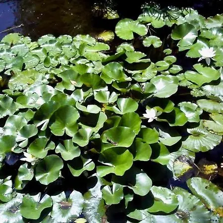 Penthouse Marbella, Panoramic Sea Views, Terrace, Pool & Parking * Марбелья