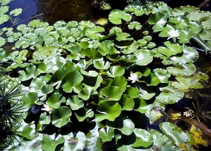 Penthouse Marbella, Panoramic Sea Views, Terrace, Pool & Parking * Marbella